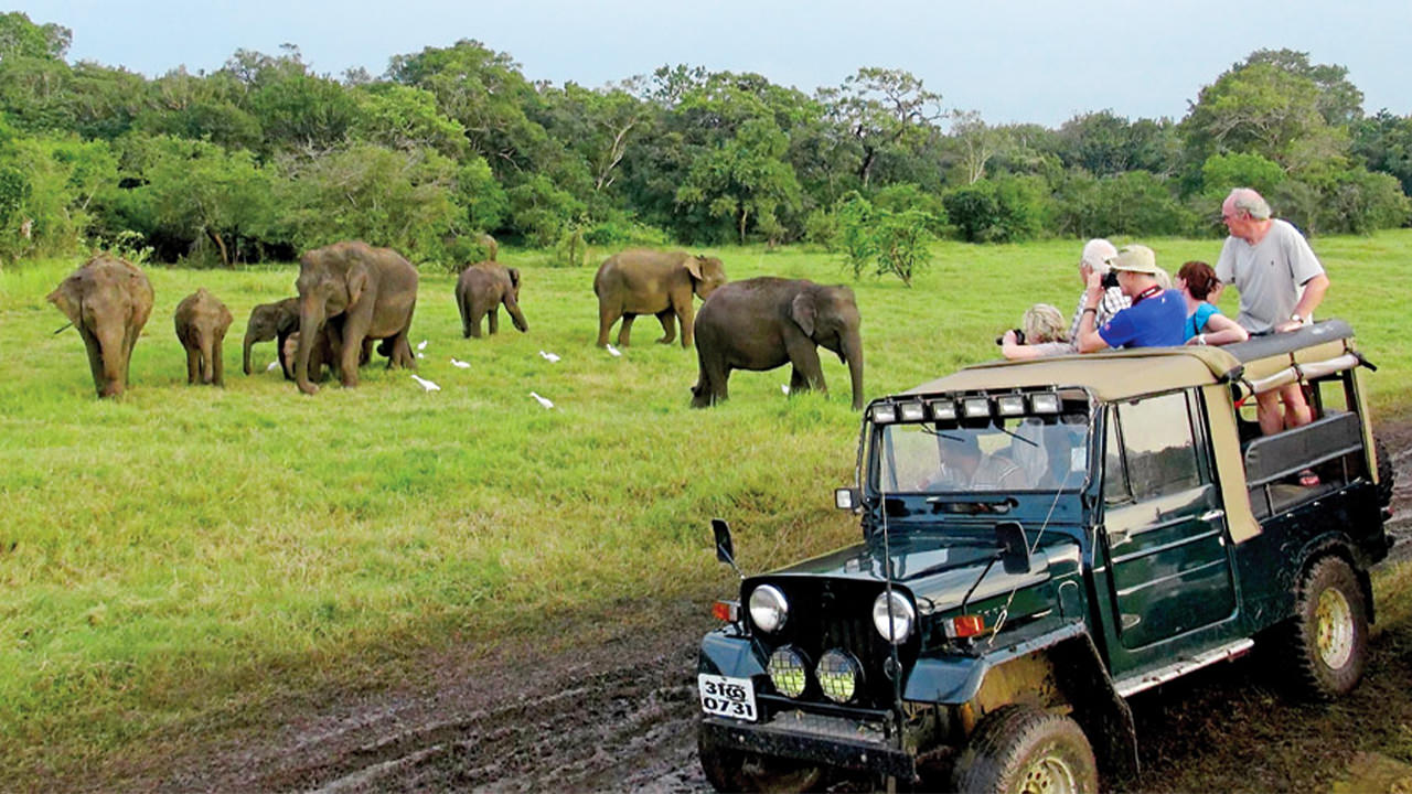 Bundala National Park Safari from Koggala City