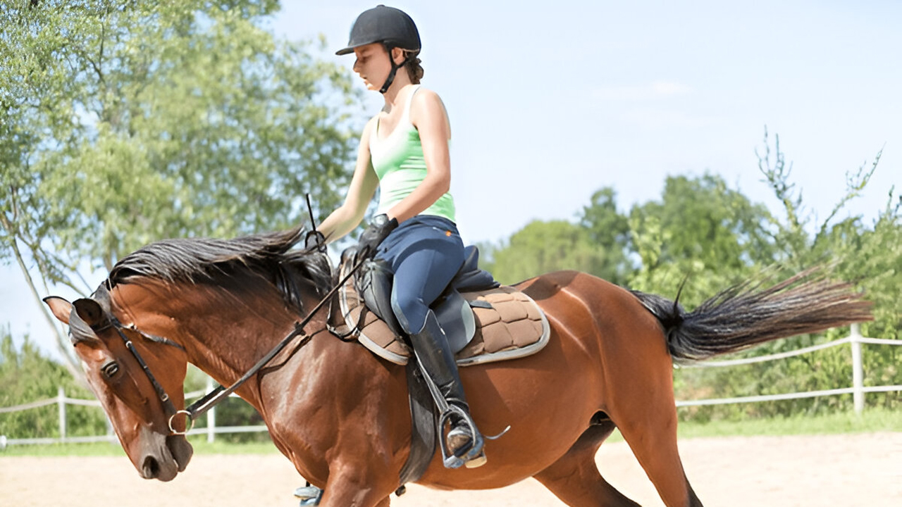 Horse Riding from Dambulla