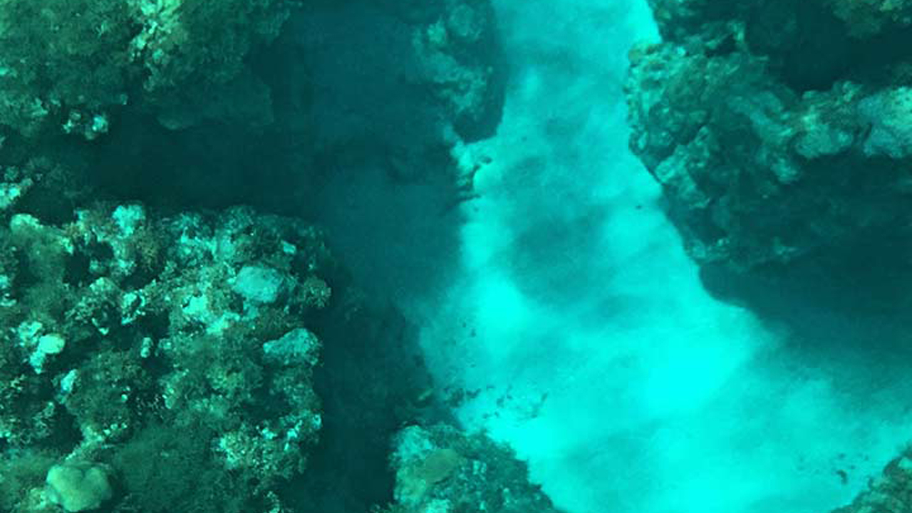 Glass Bottom Boat Ride from Hikkaduwa City