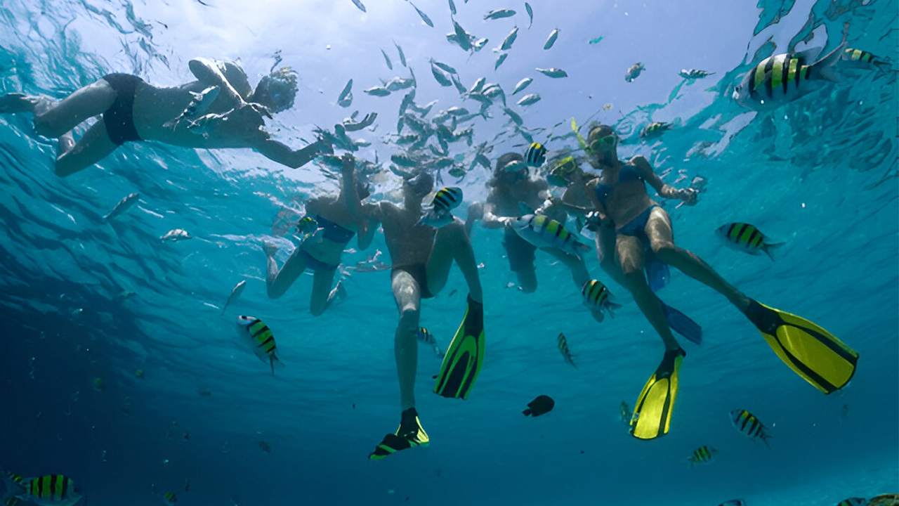 6-Night Cruise Experience from Mirissa on Ocean Diamond