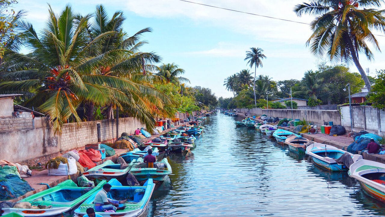 Negombo City Tour from Mount Lavinia City