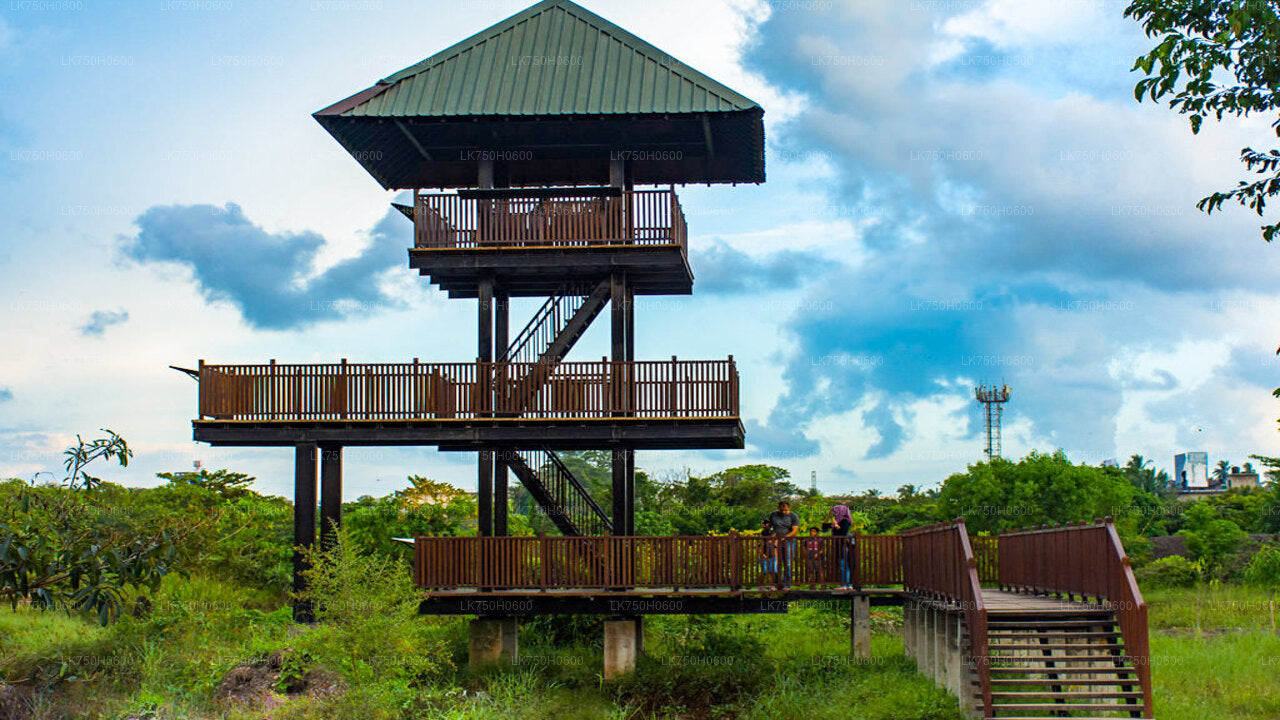 Birdwatching at Diyasaru Uyana from Colombo City