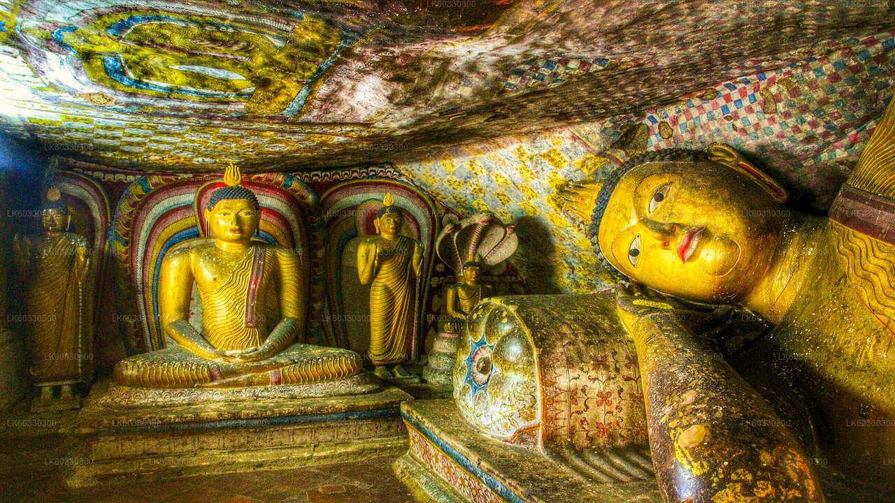 Sigiriya, Dambulla and Village Tour from Colombo City