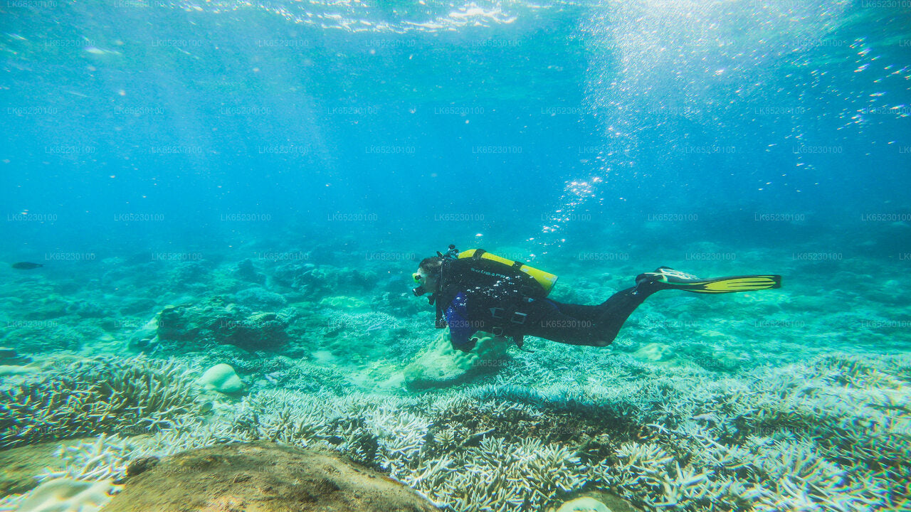 Scuba Diving from Trincomalee City