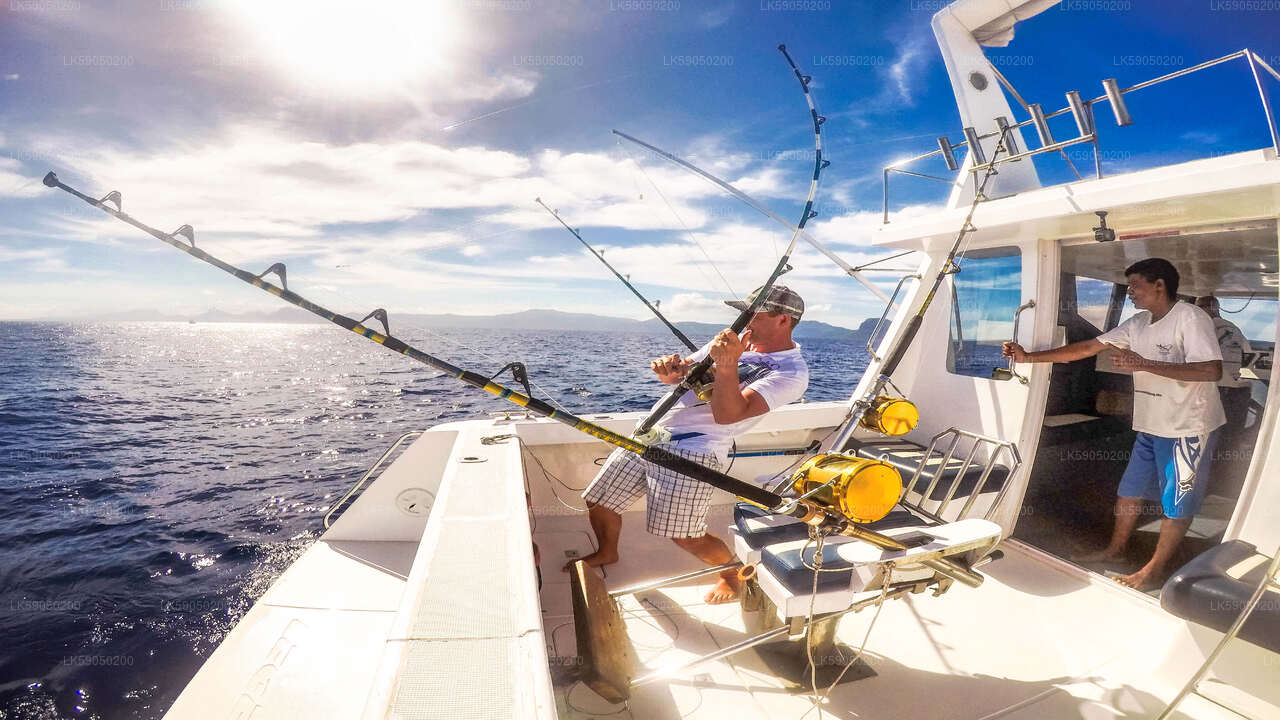 Deep Sea Fishing from Negombo