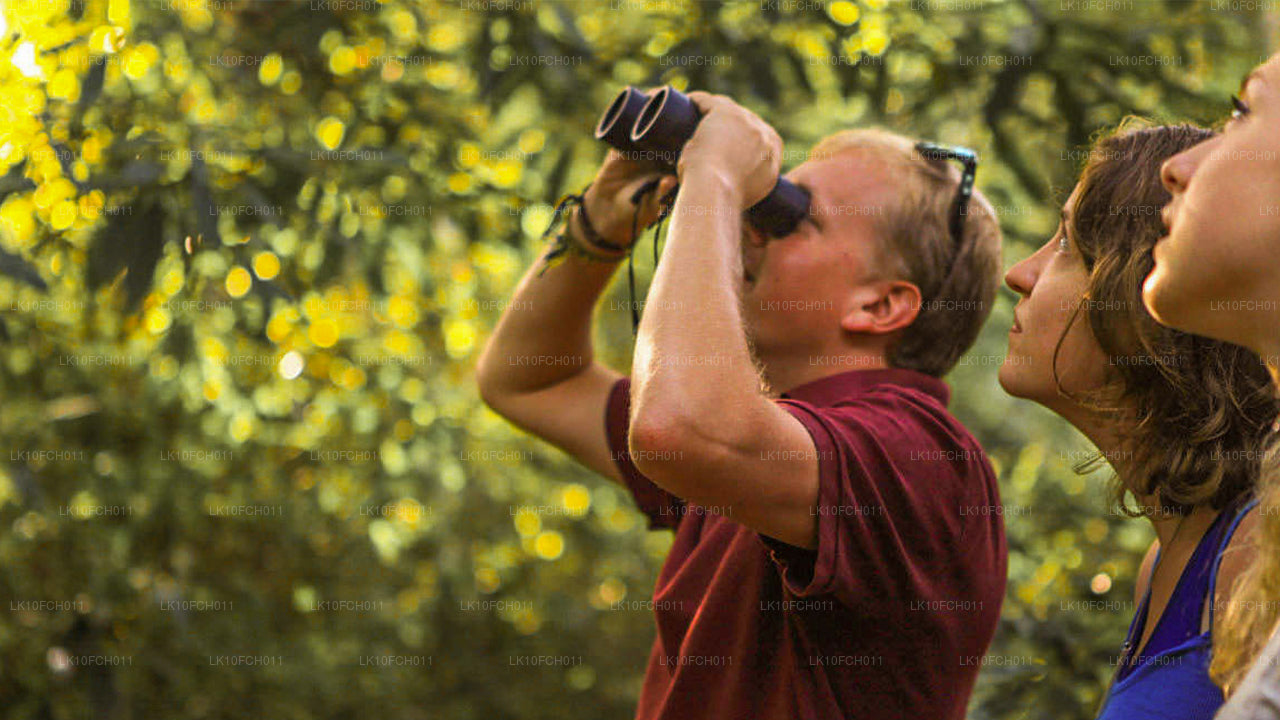 Endemic and Migrating Birds Tour (15 Days)