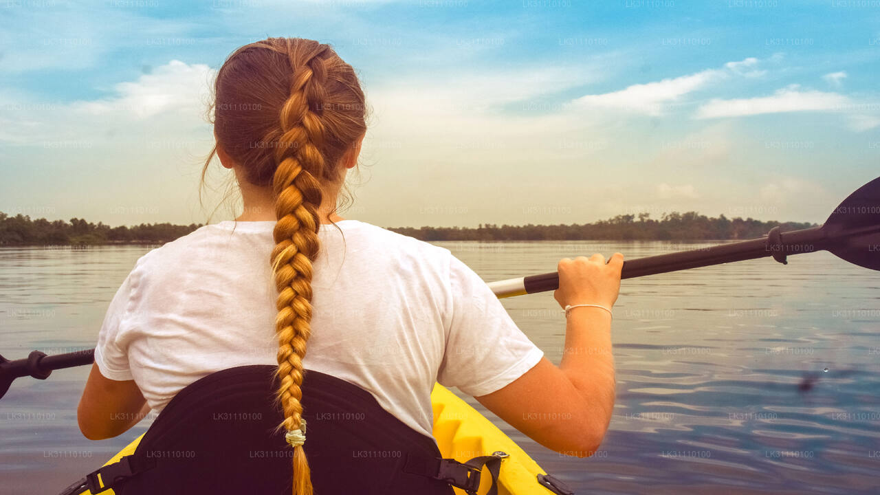 Kayaking at Rathgama Lake from Hikkaduwa City