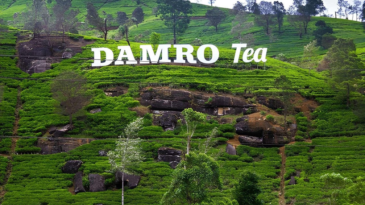 Tea Factory Tour from Nuwara Eliya