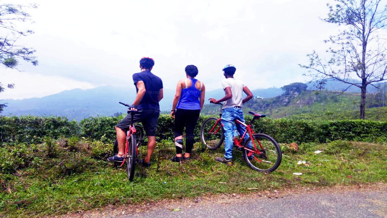 Adventure Cycling from Ella City