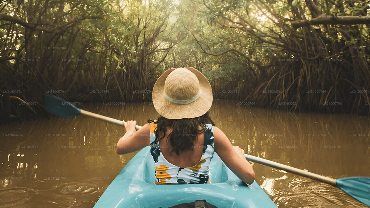 Lagoon Kayaking from Negombo