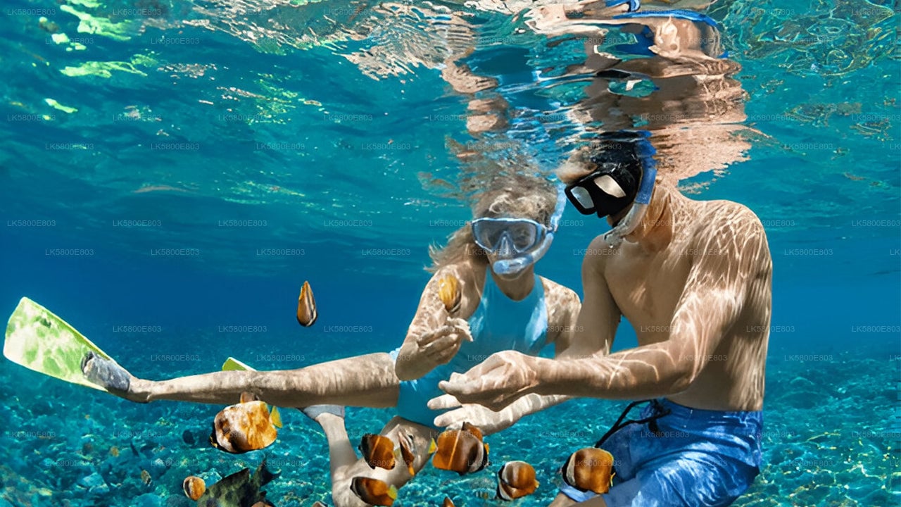 Snorkeling at Pigeon Island from Trincomalee City