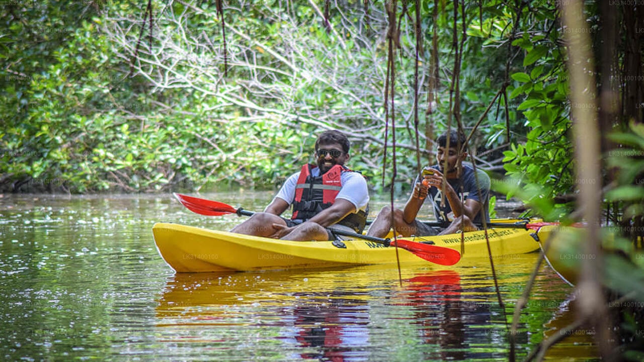 Kayaking from Ahungalla City