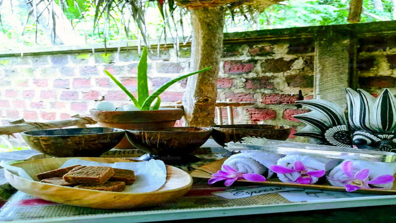 Nilagama Village Tour from Galewela City
