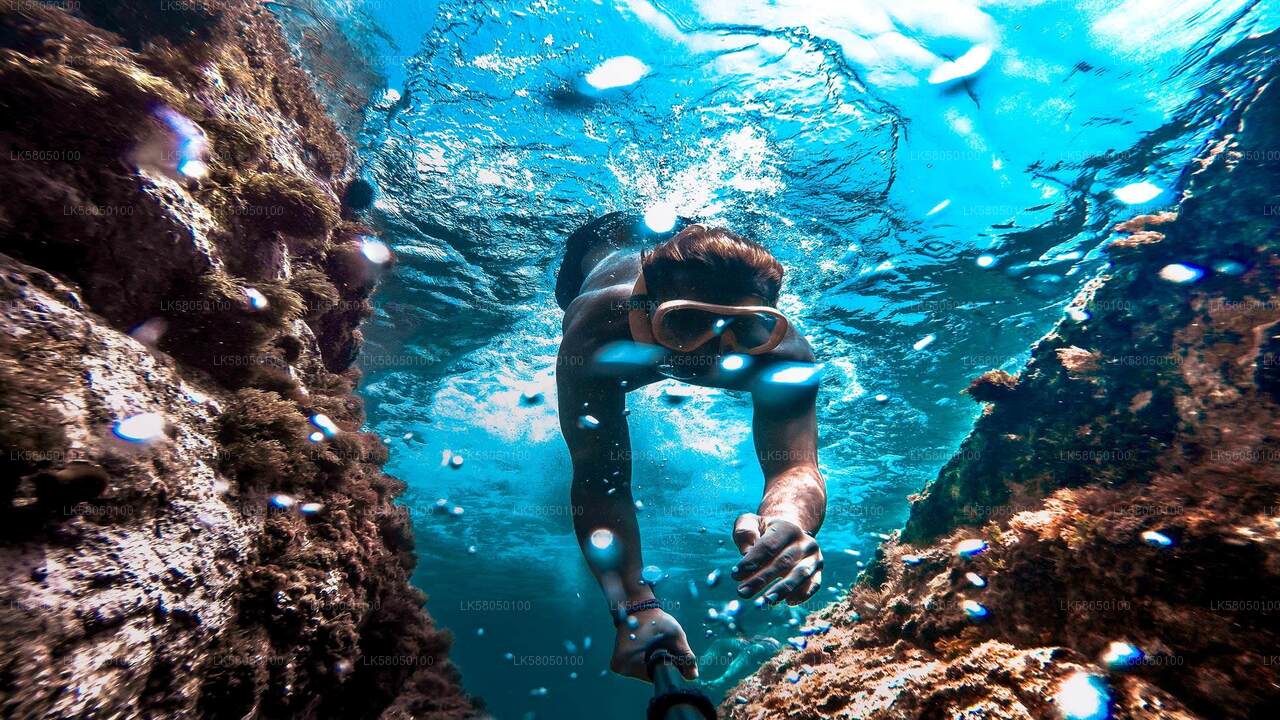 Snorkeling from Negombo City