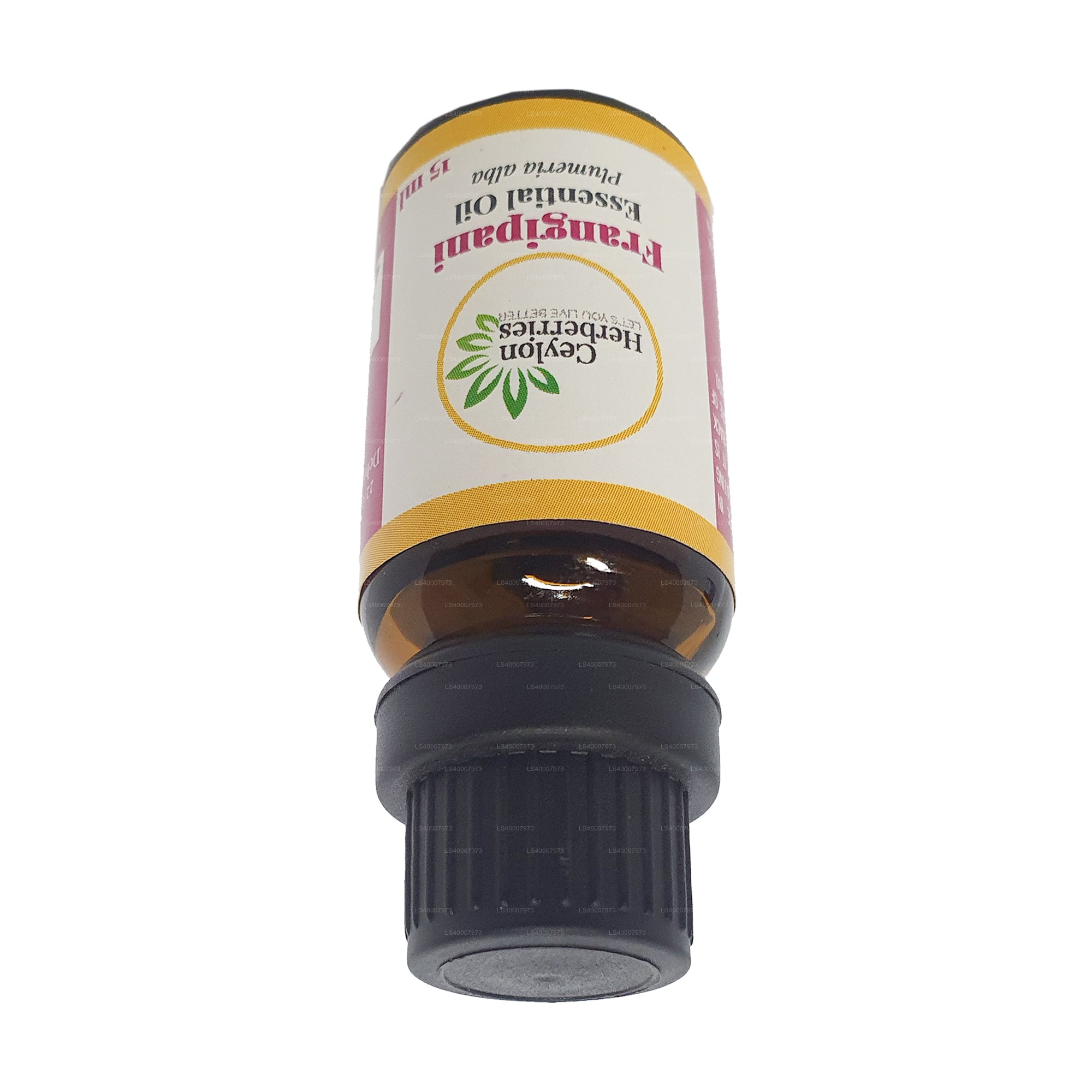 Ceylon Herberries Frangipani Essential oil (Plumeria alba) 15ml