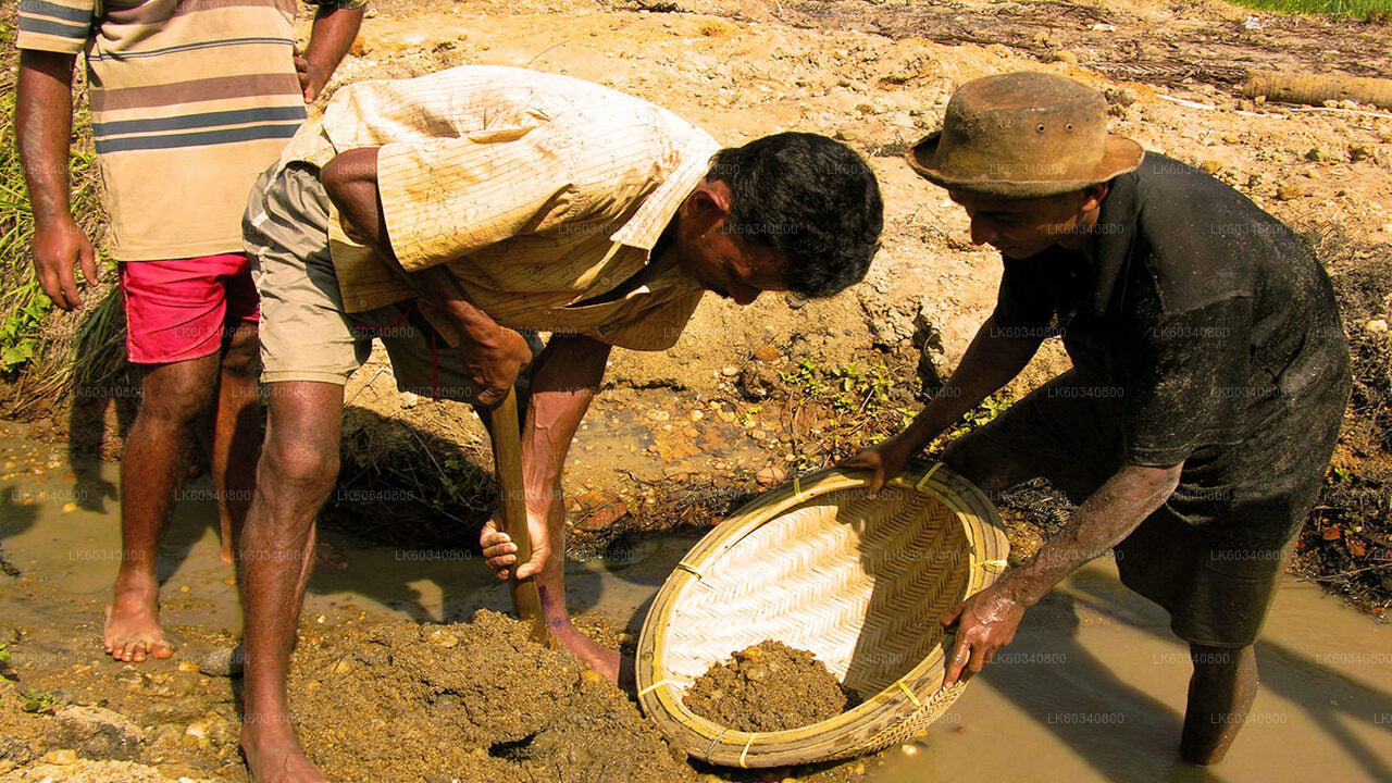 Explore Gem Mines in Rathnapura from Panadura City