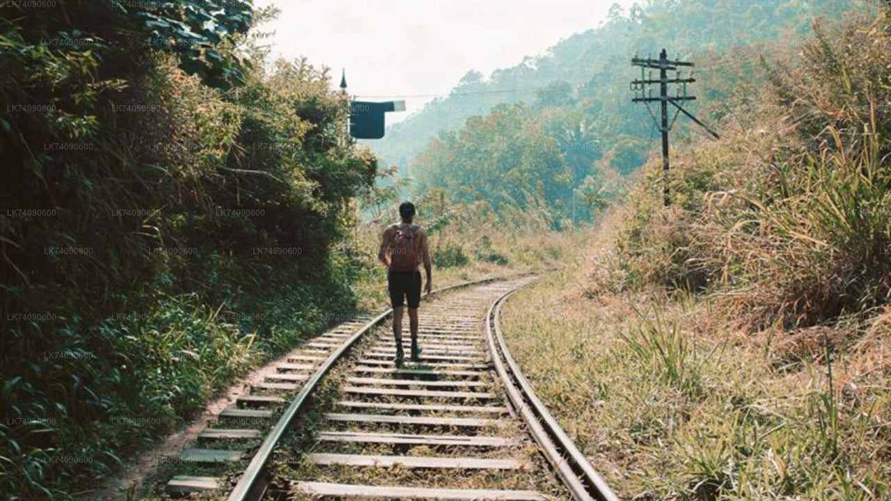 Hiking Tour to Ella Three Icons from Ella City