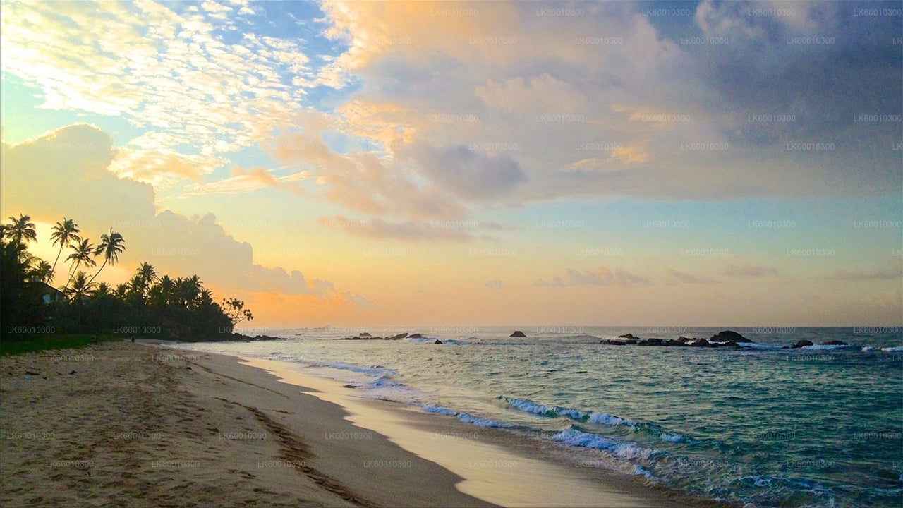 Coastal Ride to Galle from Colombo City