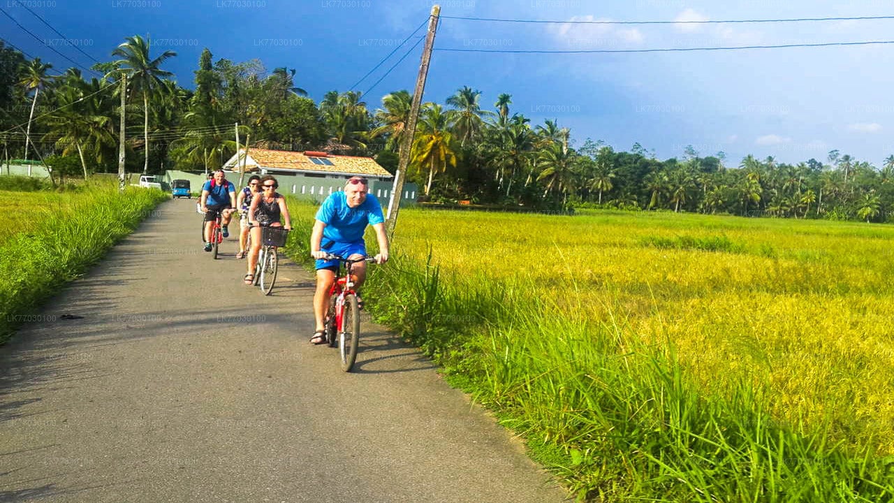 Cycling from Bentota City