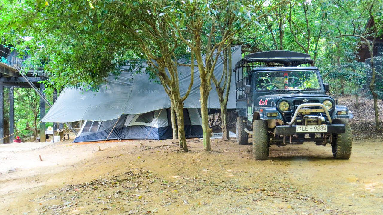 Zwei Nächte Camping im Wasgamuwa-Nationalpark
