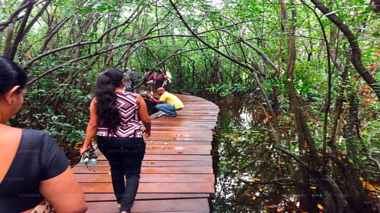 Birdwatching at Diyasaru Uyana from Colombo City