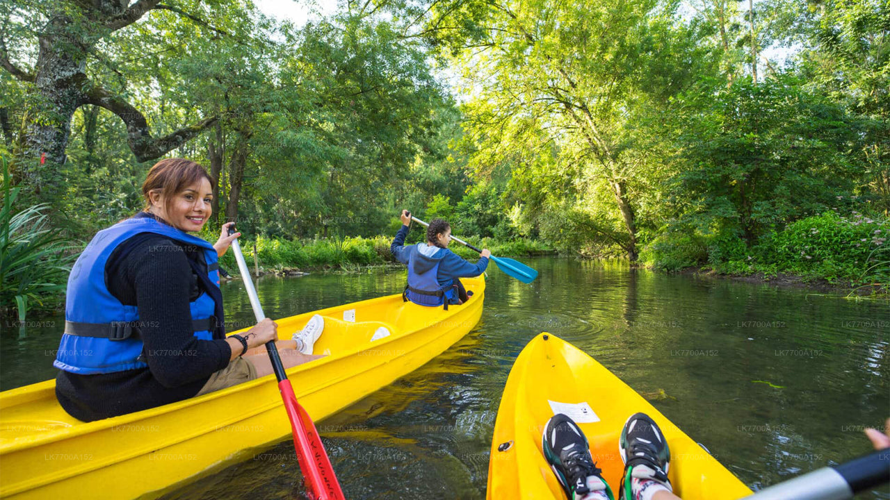 Lagoon Canoeing Tour From Galle City