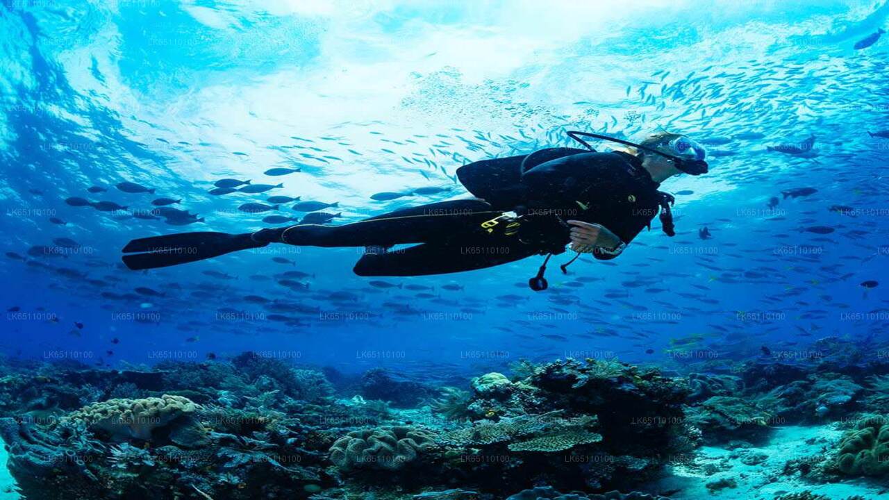 Scuba Diving from Hikkaduwa City