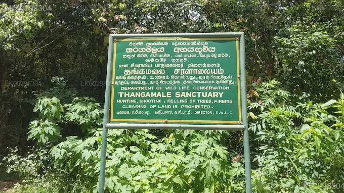 Adisham Bungalow And Thangamale Bird Sanctuary from Haputale