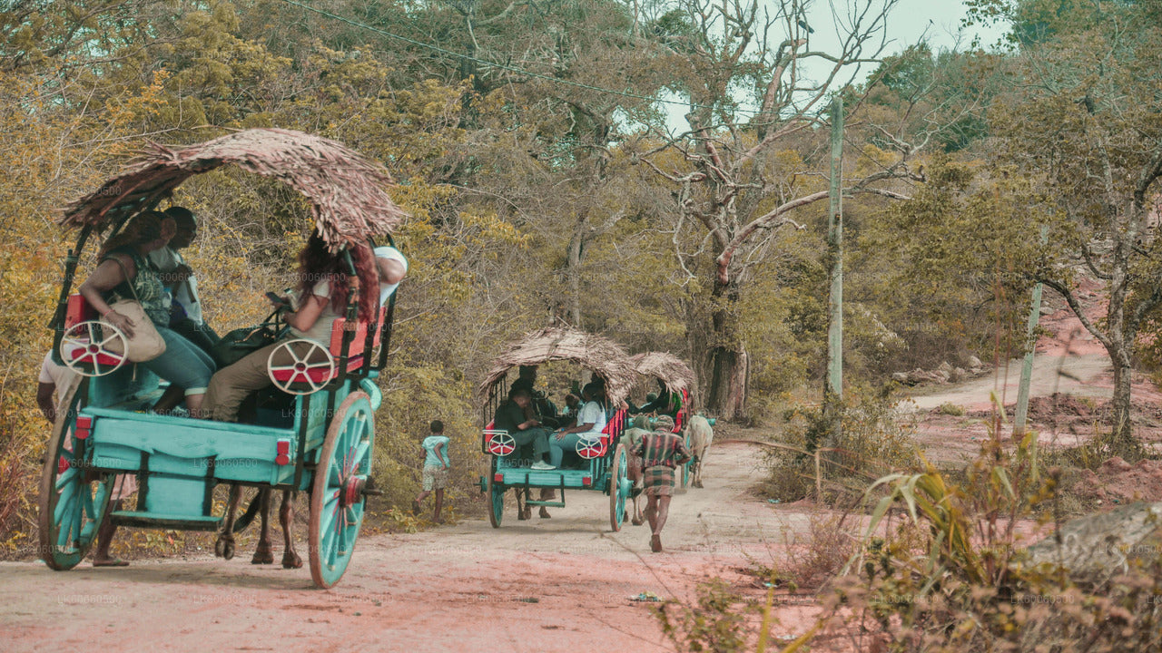 Hiriwadunna Village Tour from Habarana City
