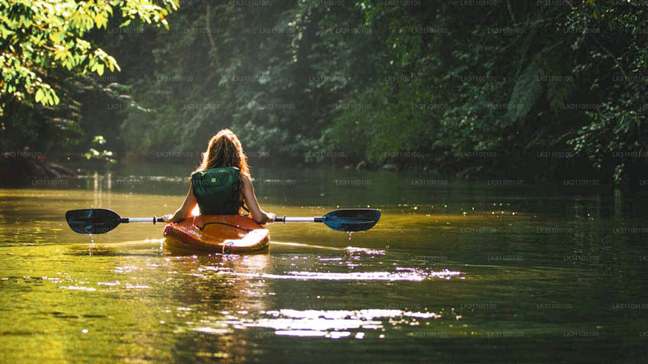 Kayaking from Kitulgala City