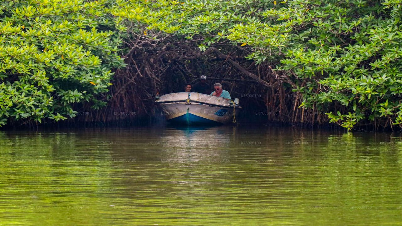 Top Tourist Destinations in Sri Lanka (10 Days)