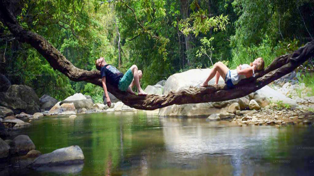 Trekking to Warakara Waterfall from Ella City