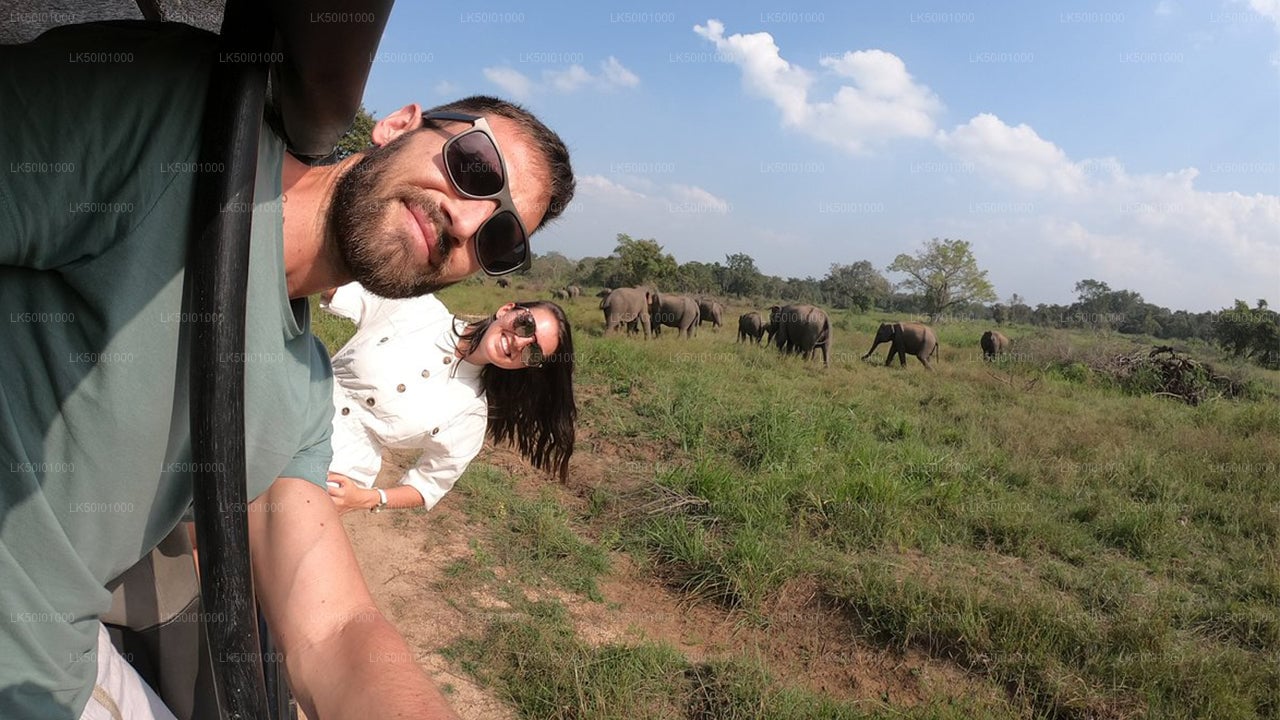 Wasgamuwa National Park Private Safari with Guide