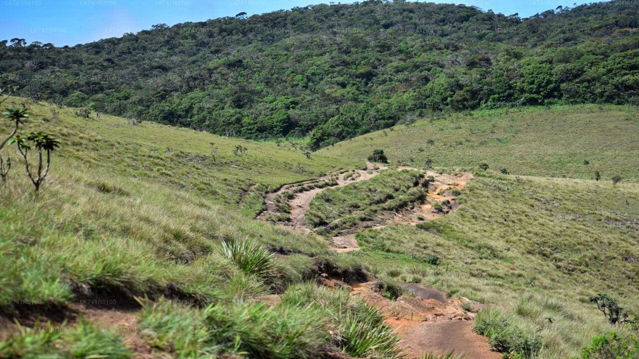 Horton Plains National Park Hike from Nuwara Eliya City