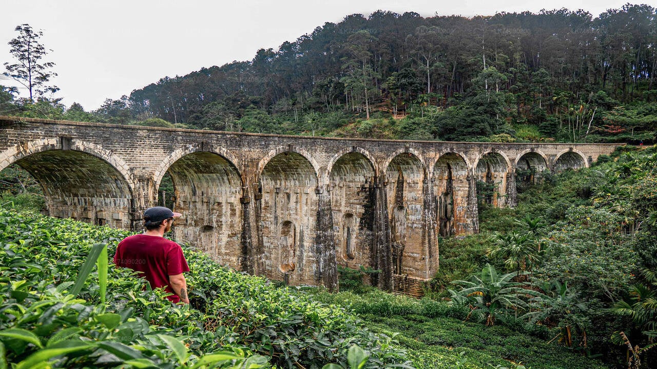 Hike to Little Adam's Peak and Nine Arches Bridge from Ella City