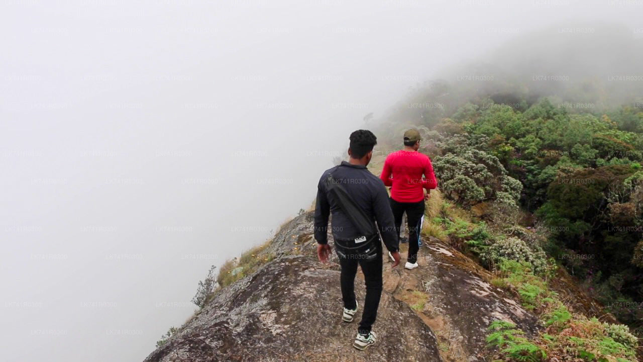 Hike to Kirigalpoththa Mountain Range via Horton Plains