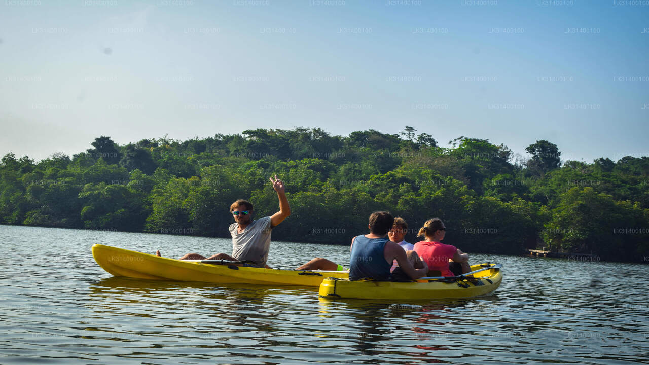Kayaking from Ahungalla City
