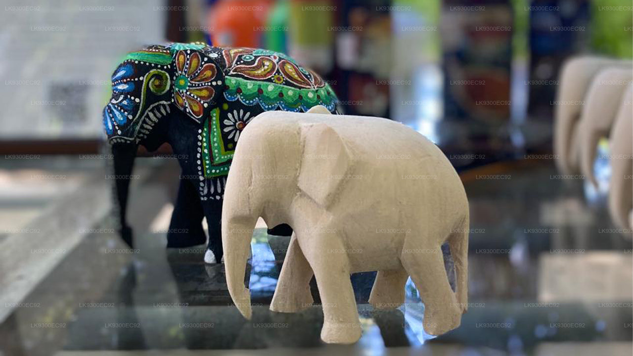 Elephant Painting and Storytelling Experience from Ahangama