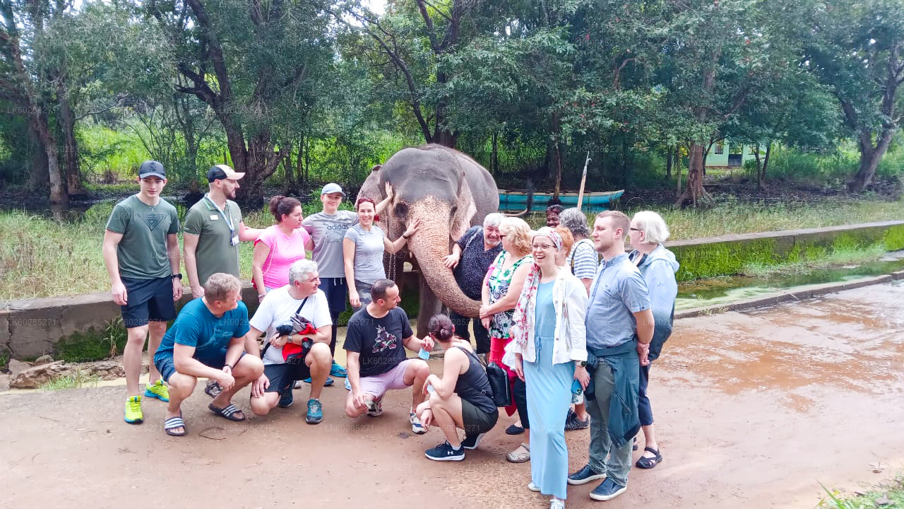 Elephant Back Safari from Habarana City