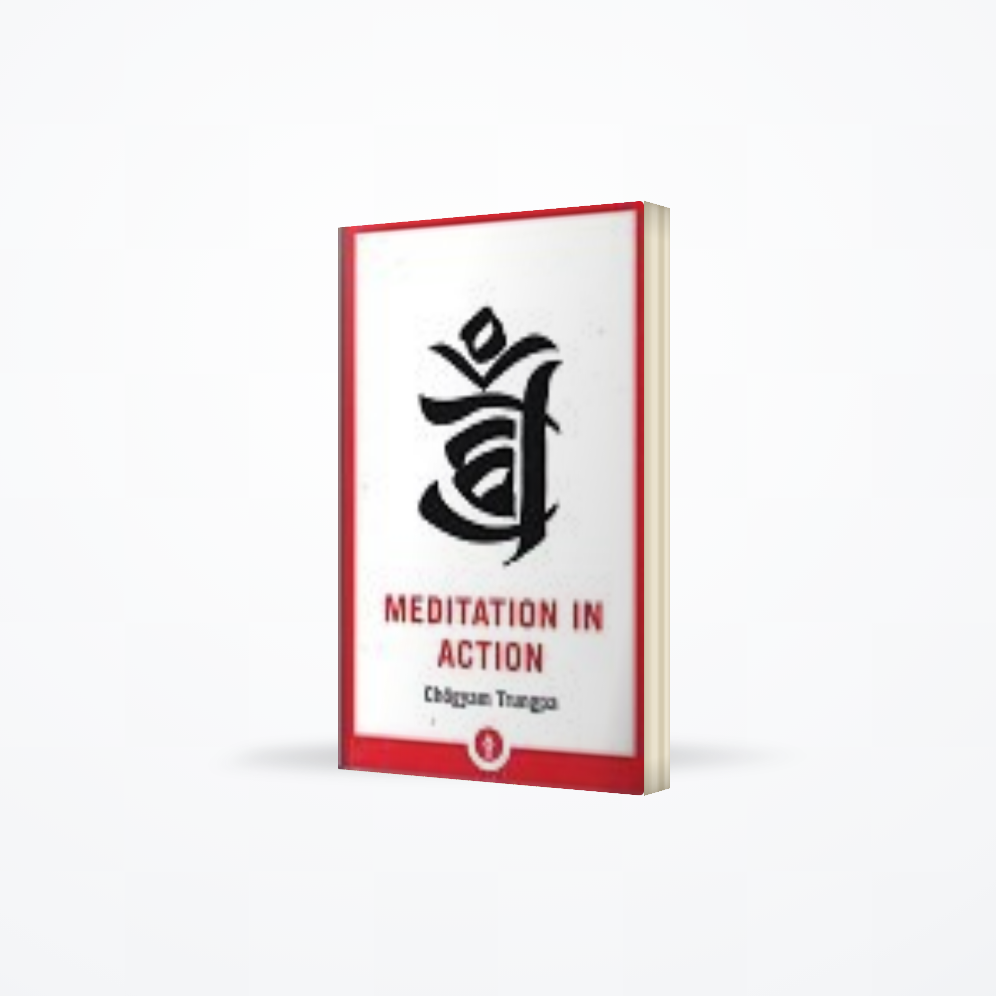 Meditation in Action