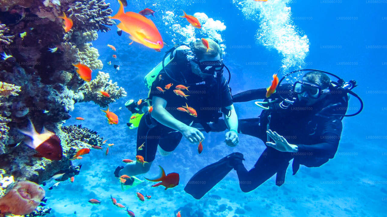 PADI Certificate Open Water Diving Course from Bentota City