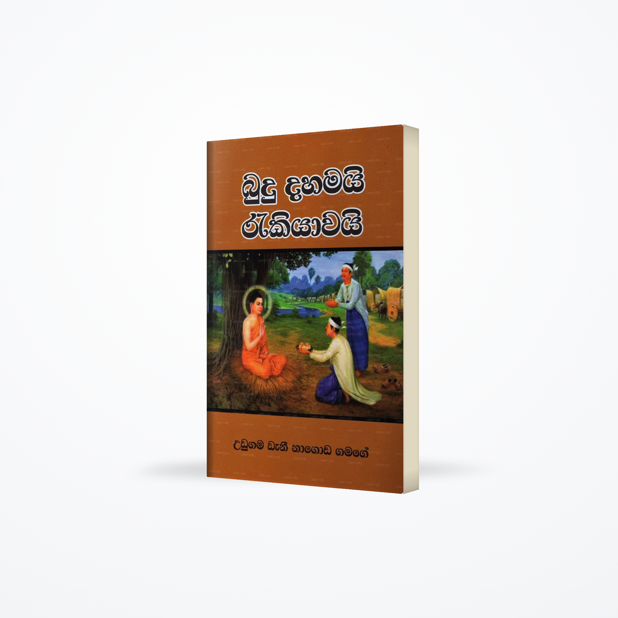 Budu Dahamai Rakiyawai