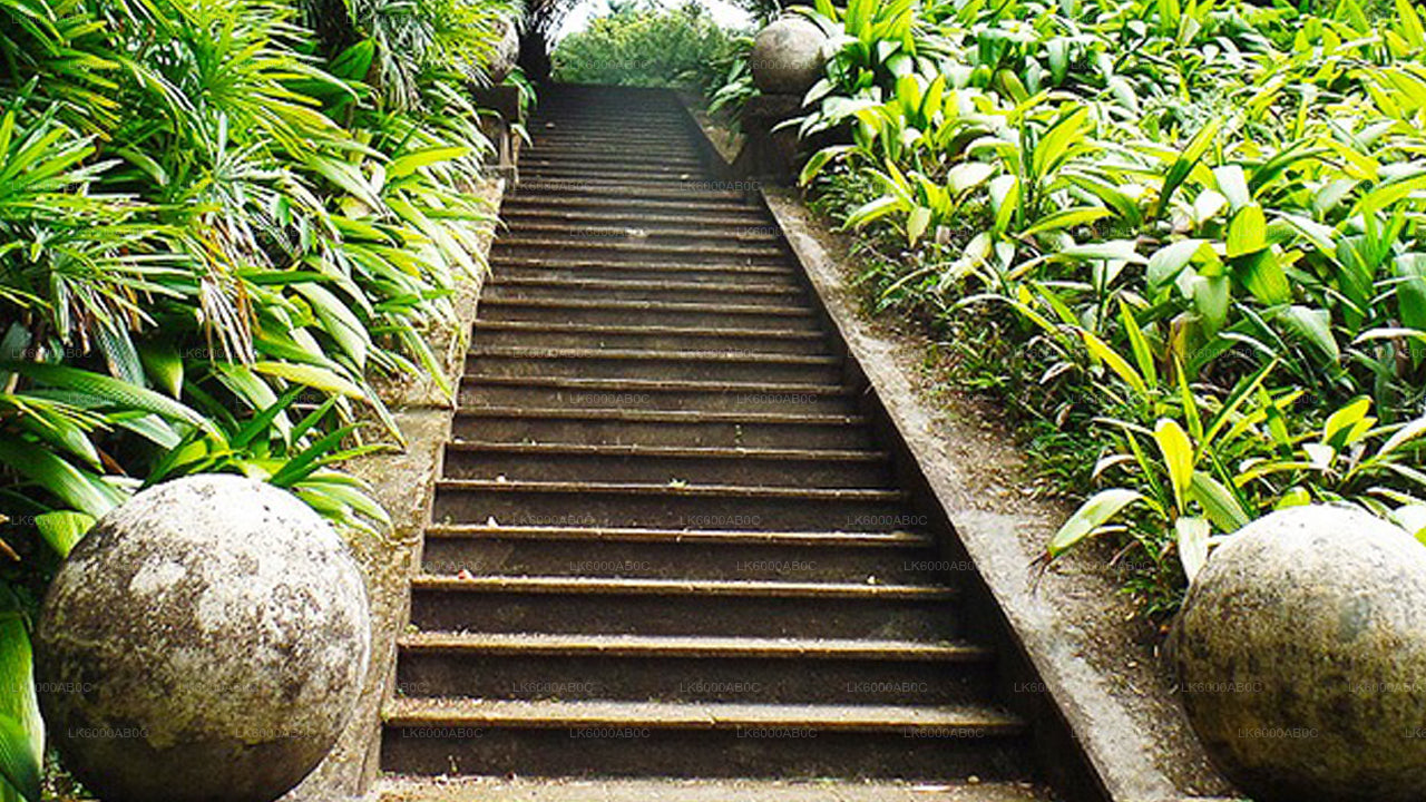 Brief Garden Tour and Lunch from Colombo City