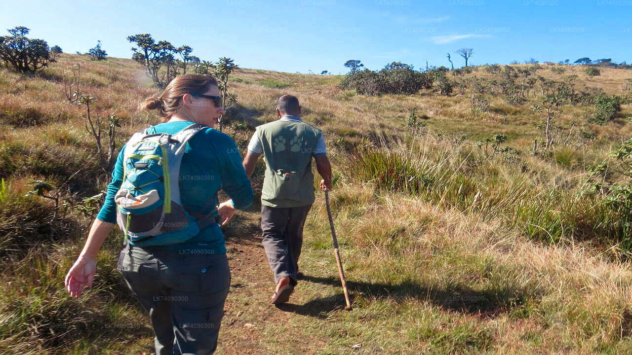 Illukpelessa Village Hike from Ella City