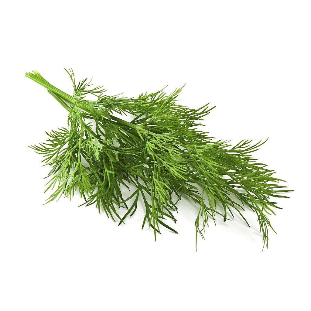 Lakpura® Fresh Dill Leaves