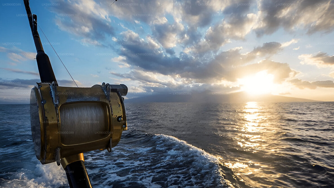 Deep Sea Fishing from Mirissa