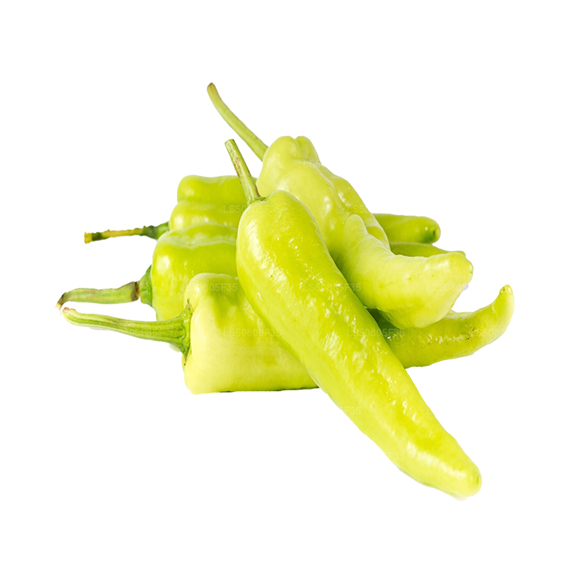Lakpura®  Capsicum