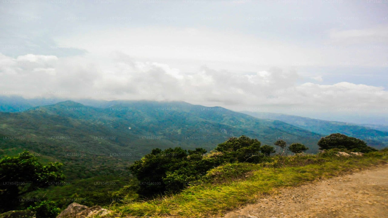 Hiking to Riverston Highlands from Matale City