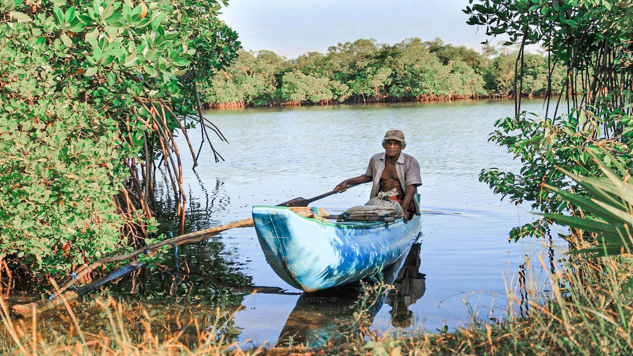 Lake Fishing from Habarana City
