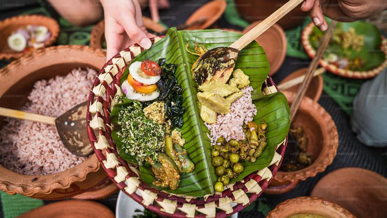 Brief Garden Tour and Lunch from Colombo City